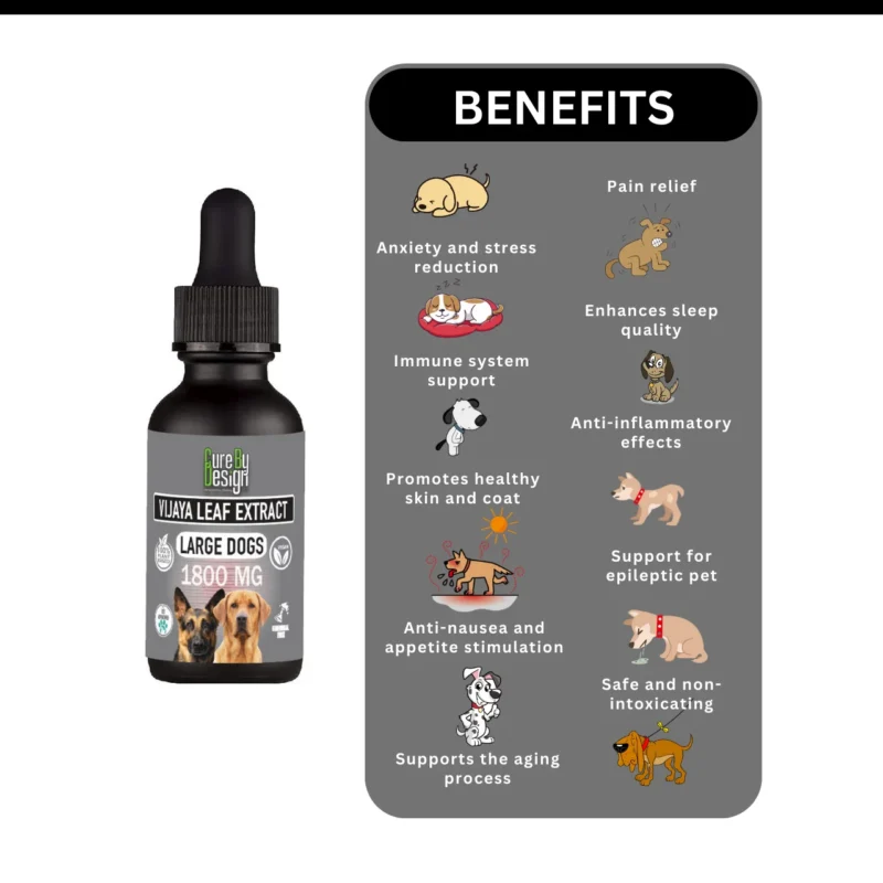Vijaya For Large Dogs 1800mg Full Spectrum CBD - Image 3