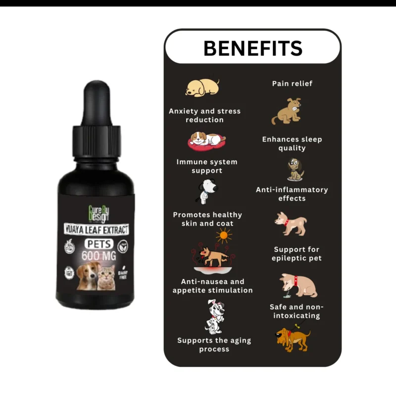 Vijaya for Pets 600mg Full Spectrum CBD - Image 4