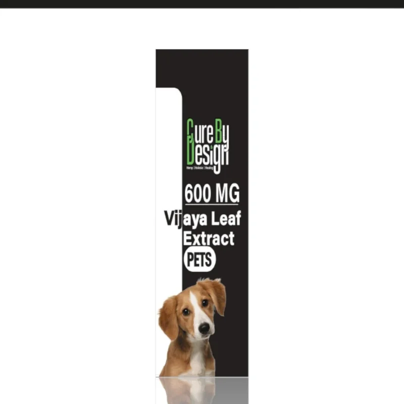 Vijaya for Pets 600mg Full Spectrum CBD - Image 6